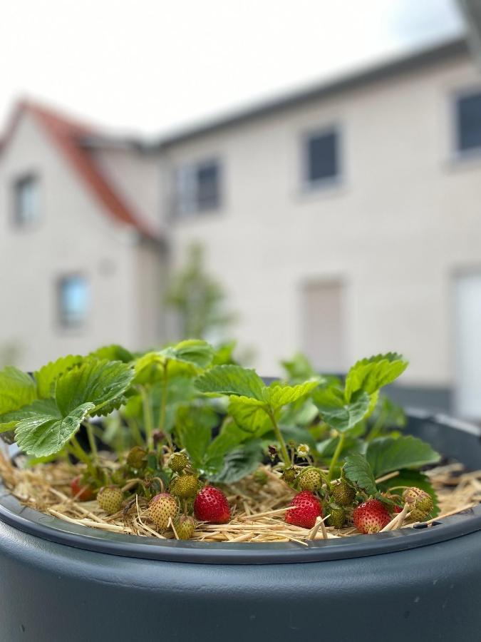 Fewo Sulzer Siedlung Erfurt "Haus 6" Apartamento Exterior foto